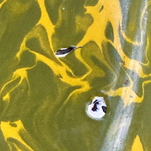 Set/5 Vintage Enamelware Divided Plates 12” Green, Mustard Yellow Graniteware - Picture 8 of 12